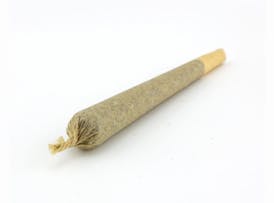 Double Tropicana - Pre- Roll - Mota Bloom