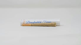 Cereal Milkshake - Pre-Roll - Bungludetch