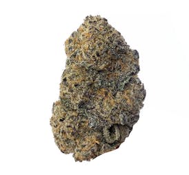 Dead OPs OG - Peyote Forum X seedsmans Gelat-OG - 1/8
