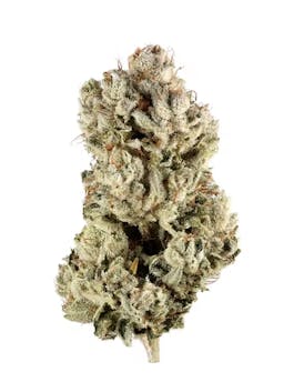 GG #4 - Chem’s Sister x Sour Dubb x Chocolate Diesel - Ounce