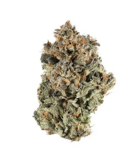 Sunset Sherbert - Girl Scout Cookies x Pink Panties