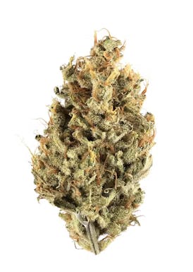 Cherry Poppers - Lemon Kush x Cherry Zkittlez - 1/8