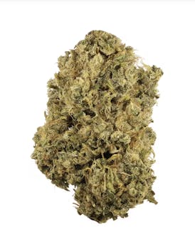 Durban Poison - Mota Bloom - 1/8