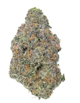Rainbow iInvader - Big Smooth x Rainbow Driver