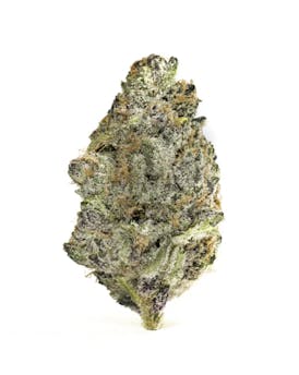 Super Boof - Black Cherry Punch x Tropicana Cookies - 1/8