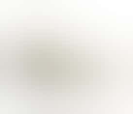 Gold Dust - Rainbow Runtz X Scotty 2 Hotty