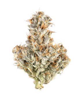 White Truffle - Gorilla Butter - 1/8