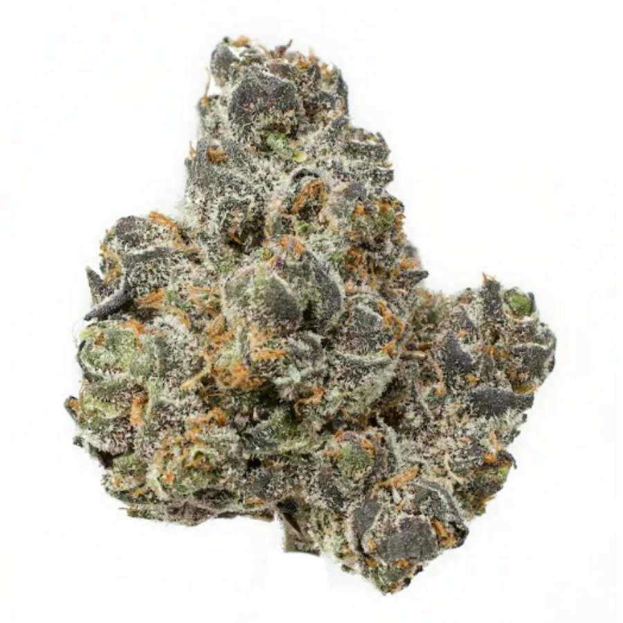 Apple Fritter - Sour Apple x Animal Cookies - MED - 3.5g - Packed