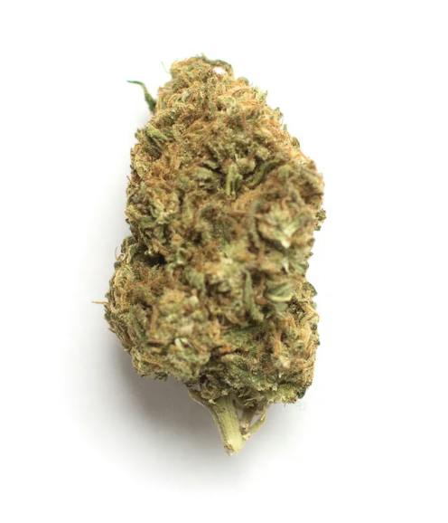 Jelly Breath - Mendo Breath x Do-Si-Dos - 1/8