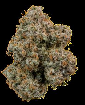 Seed Junky | Mocha Runtz | Deli Flower