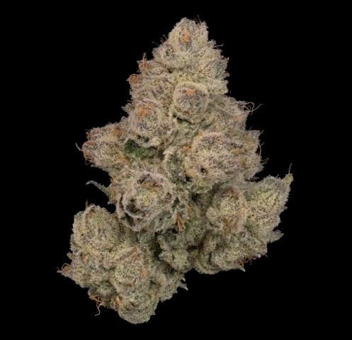 Cookies | Pruno Gas | Deli cannabis product