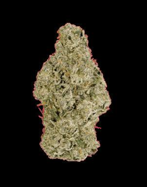 Michigander Fire | Fritter Banger | Deli cannabis product
