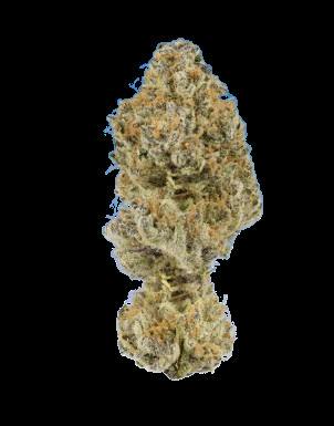 Michigander Fire | Zupa | Deli cannabis product