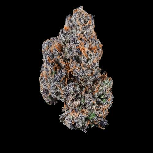 HYTEK | PINK RUNTZ | BULK DELI FLOWER by Hytek