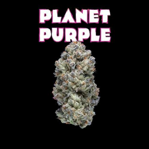 Pro Gro | Planet Purple