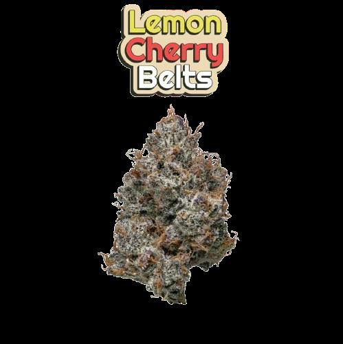 Pro Gro | Lemon Cherry Belts