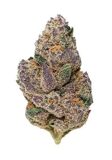 Cookies | Blueberry Caviar