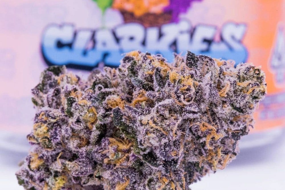 Clarkies: CLARKIES CRUSH