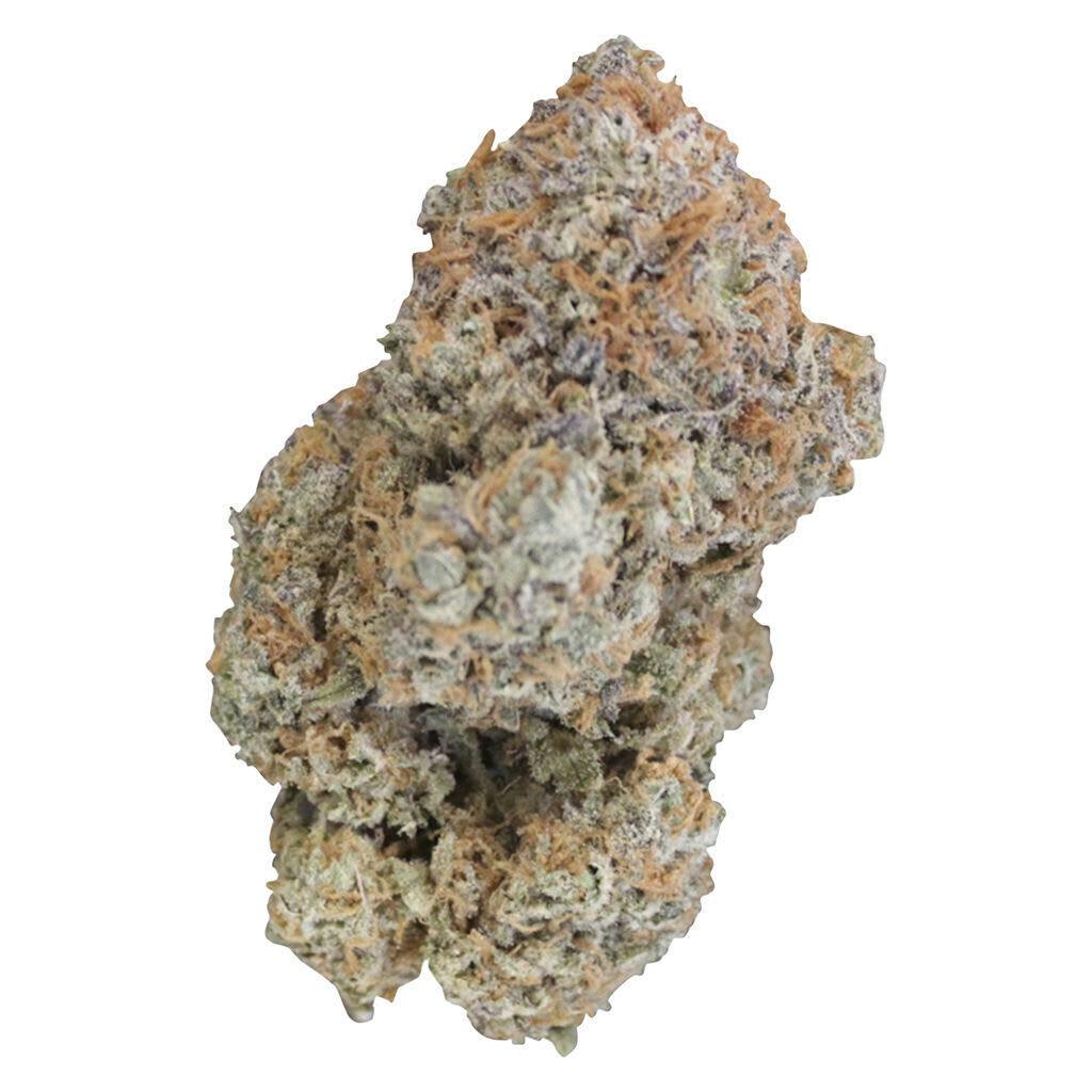 Oreoz X Orange Punch 7g Dried Flower F149
