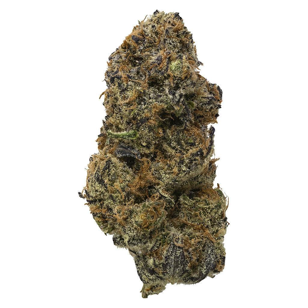 Georgia Peach 7g Dried Flower F037