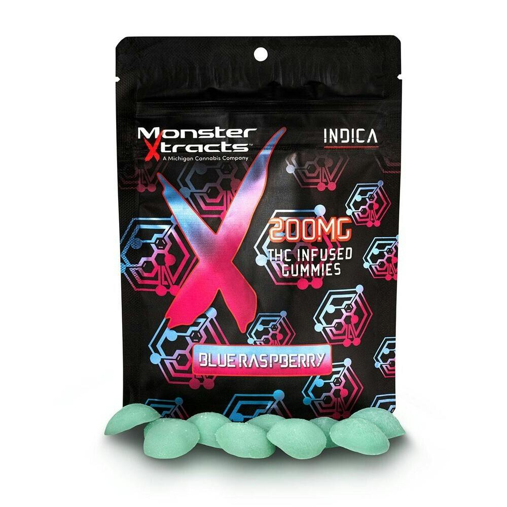 Blue Raspberry Gummy (10-Pack)