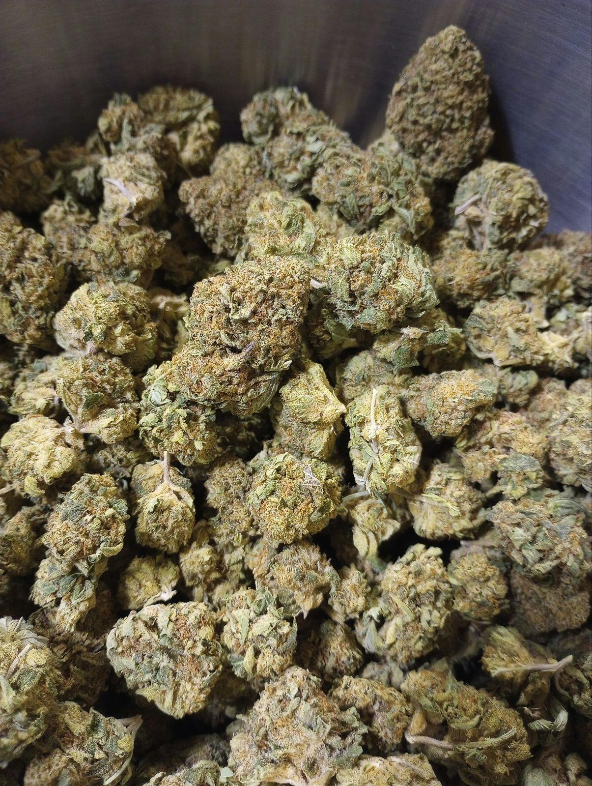 WEDDING CAKE (SUN GROWN) at Neighborhood Provisions(Cannabis Co of Alpena)