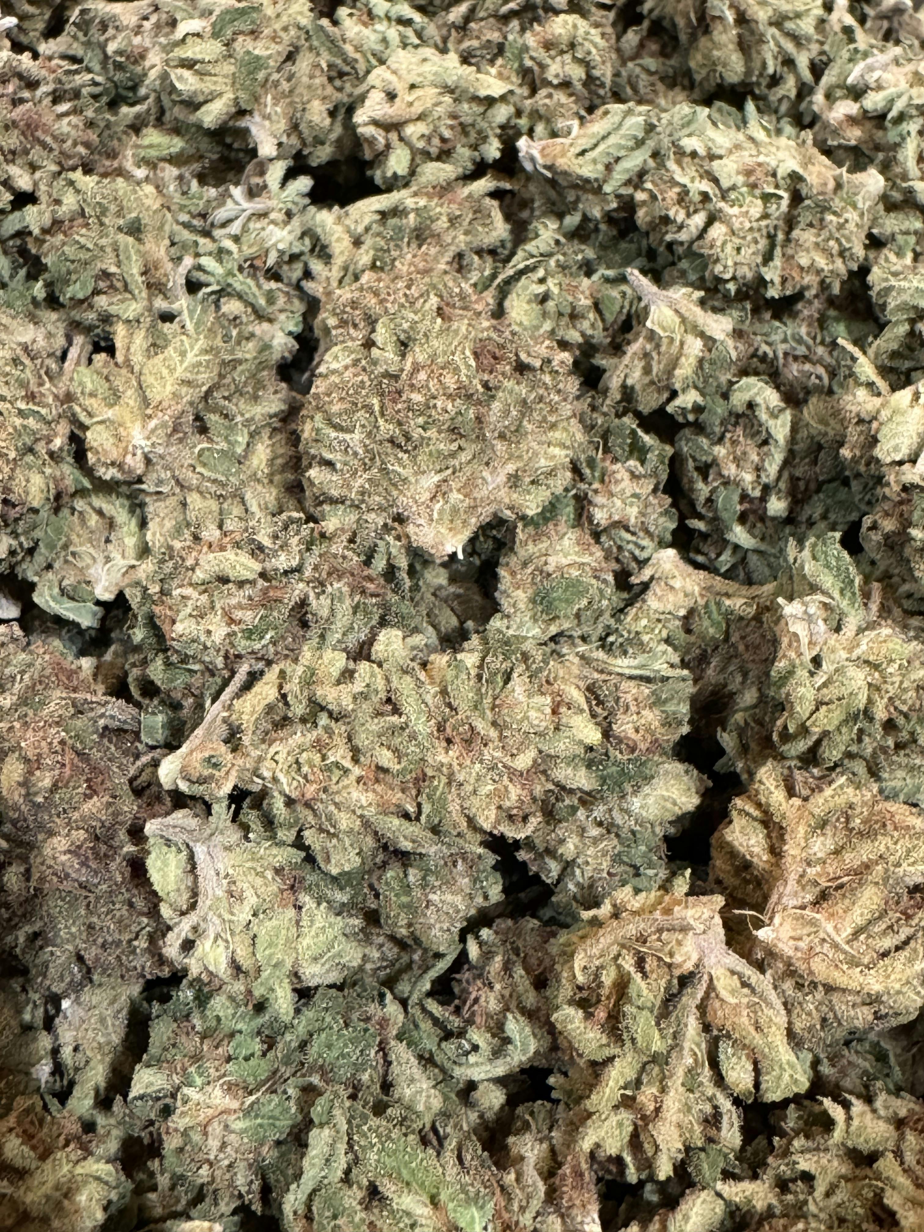 Grape Gas (Sun Grown) at Neighborhood Provisions(Cannabis Co of Alpena)