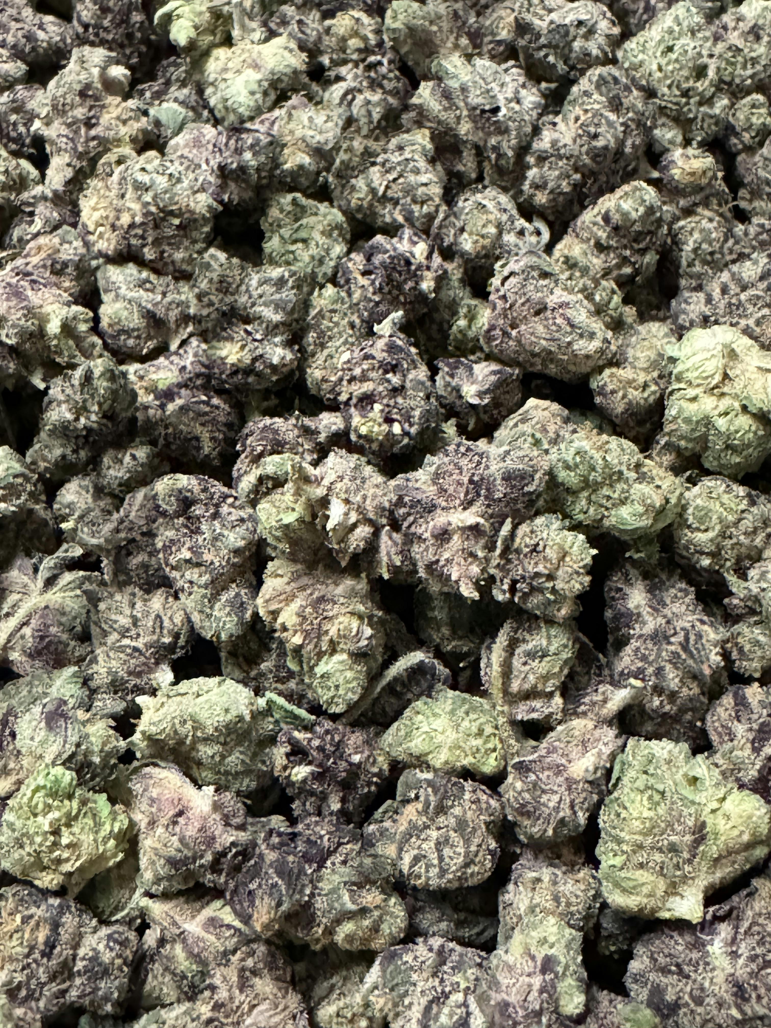 Y8 (Bronze Tier) at Neighborhood Provisions(Cannabis Co of Alpena)
