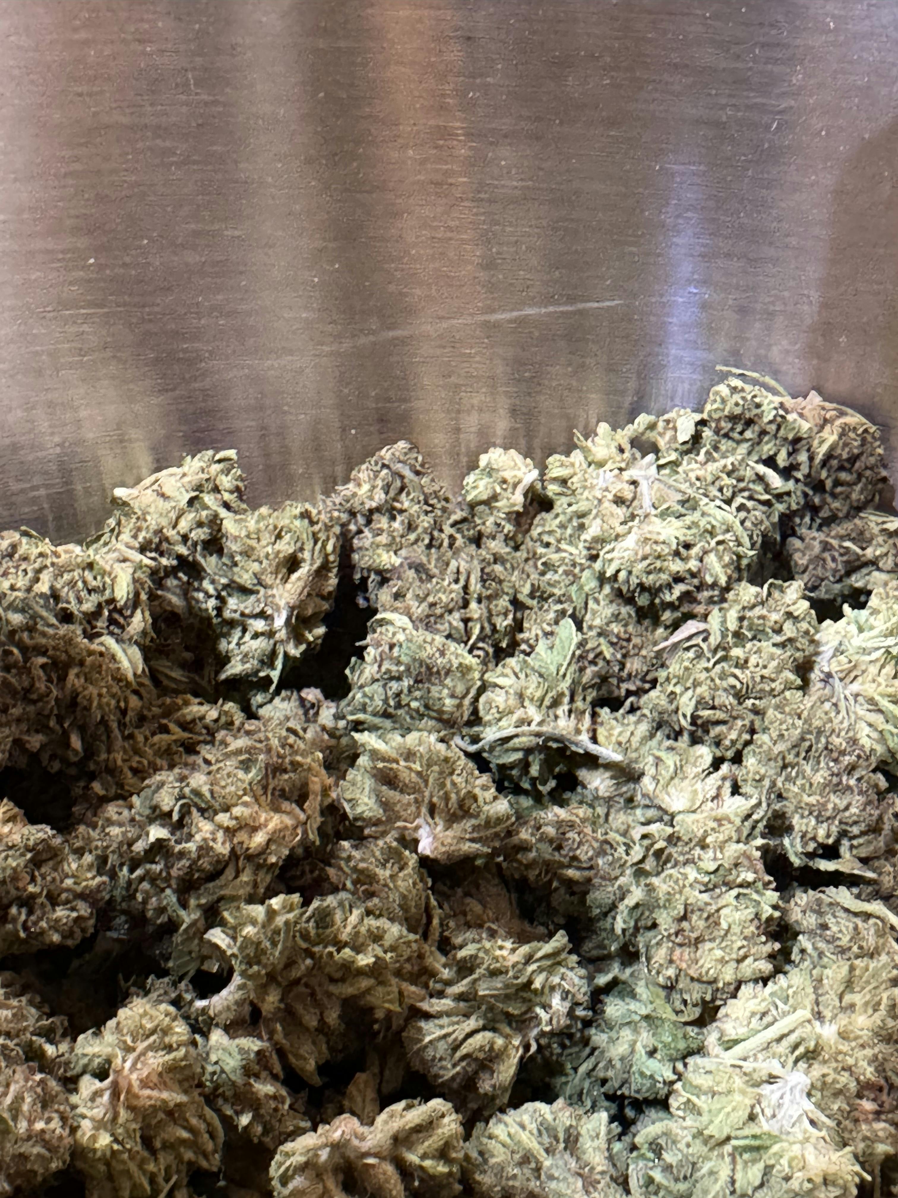 FATSO (SUN GROWN) at Neighborhood Provisions(Cannabis Co of Alpena)