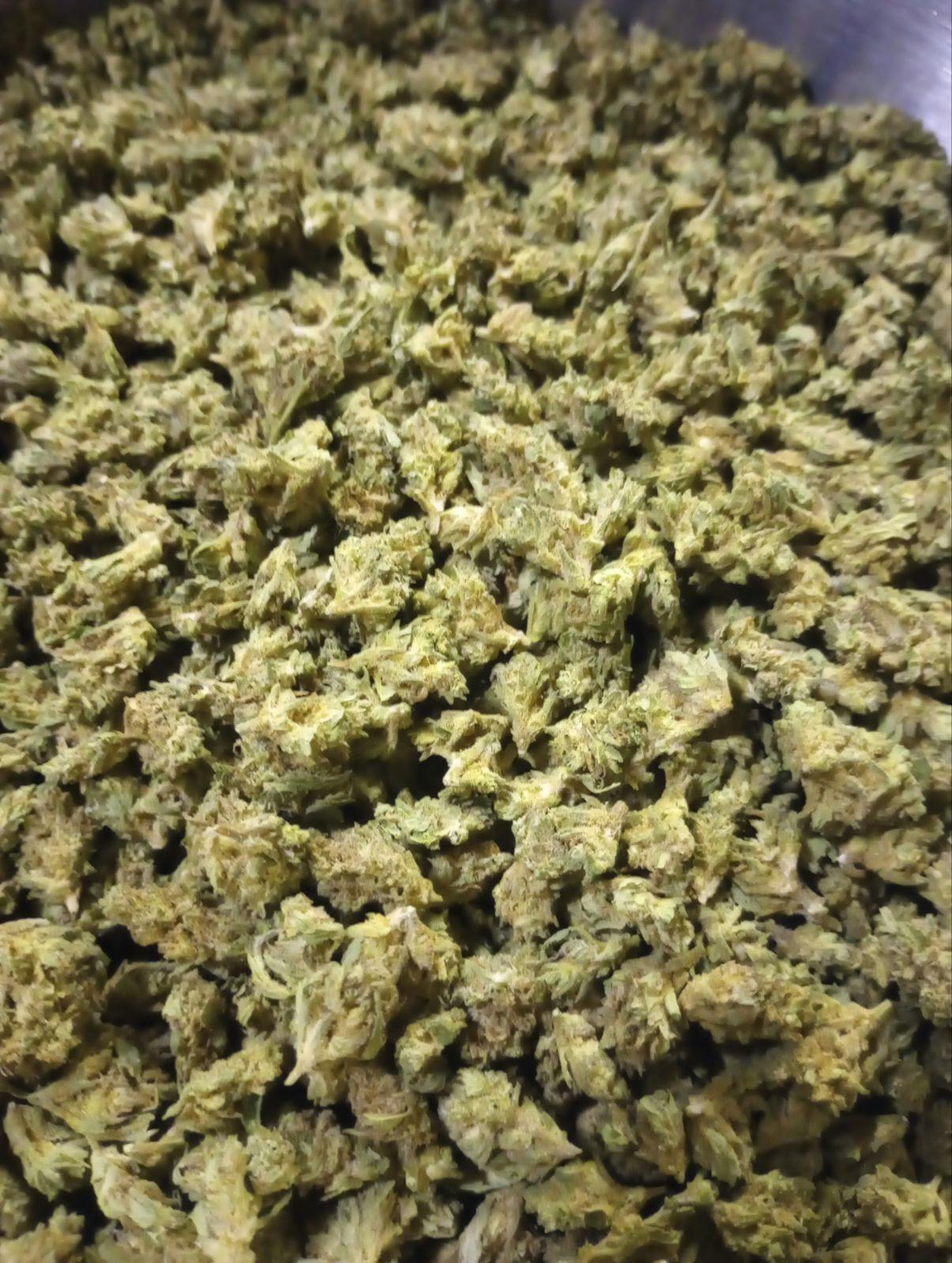 Trainwreck (Sun Grown) at Neighborhood Provisions(Cannabis Co of Alpena)
