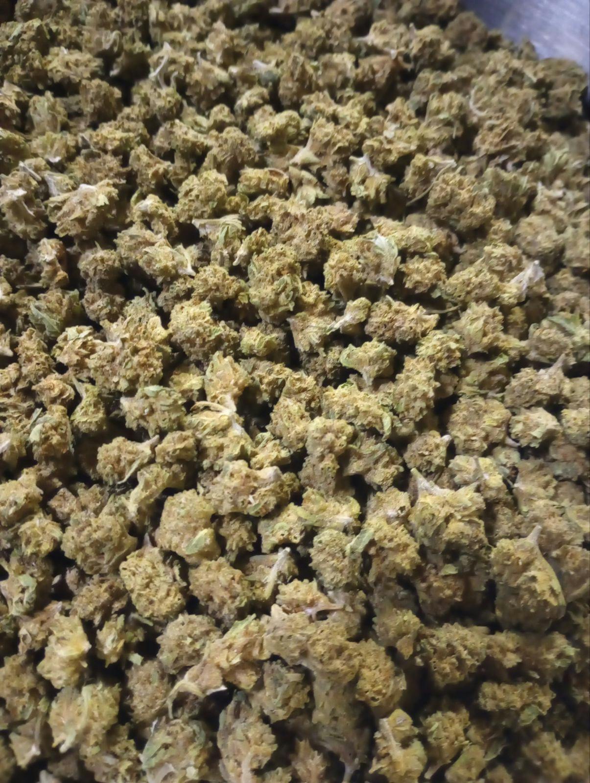 Lemon Venom (Sun Grown) at Neighborhood Provisions(Cannabis Co of Alpena)