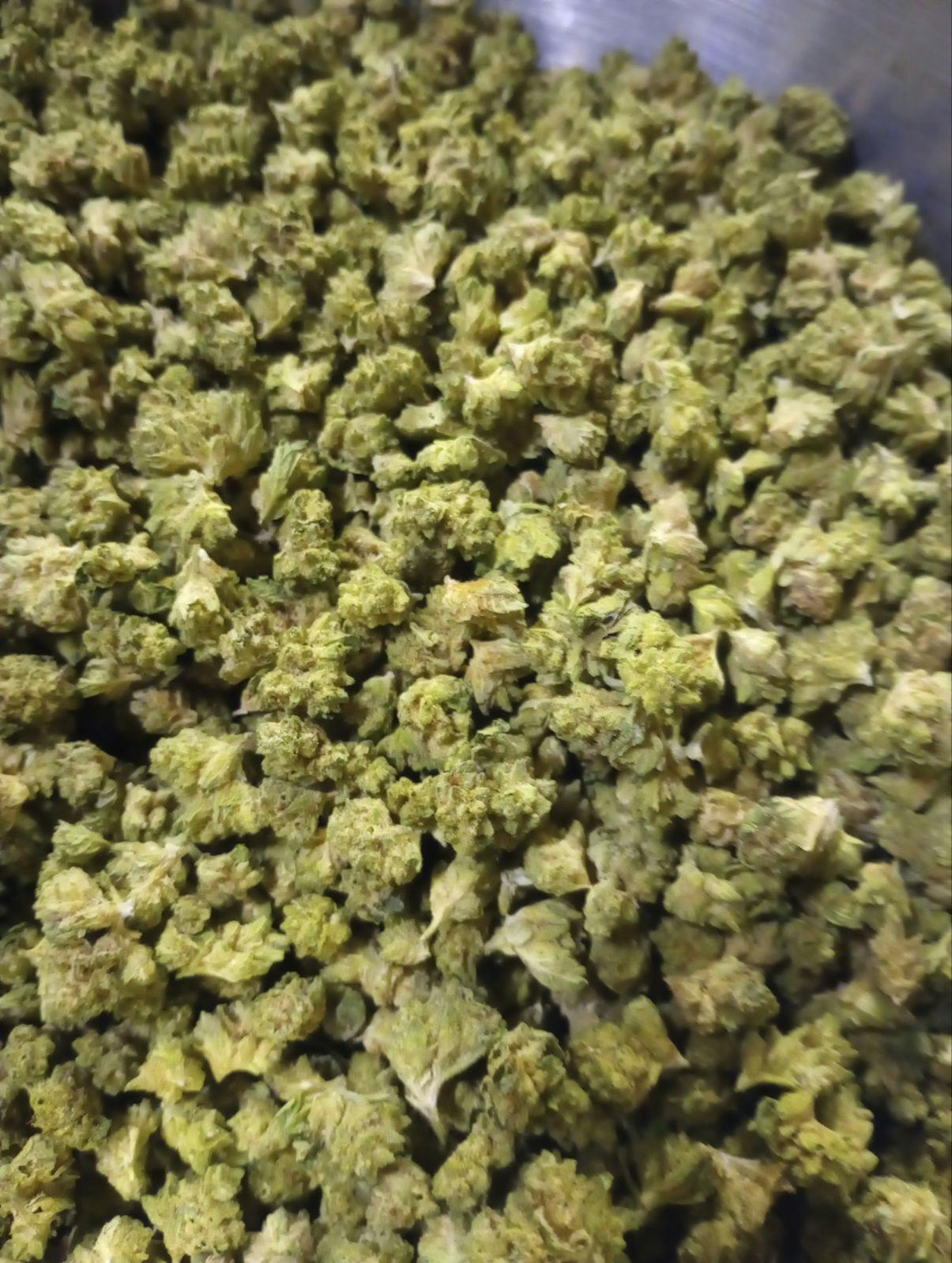 Stank Breath (Sun Grown) at Neighborhood Provisions(Cannabis Co of Alpena)