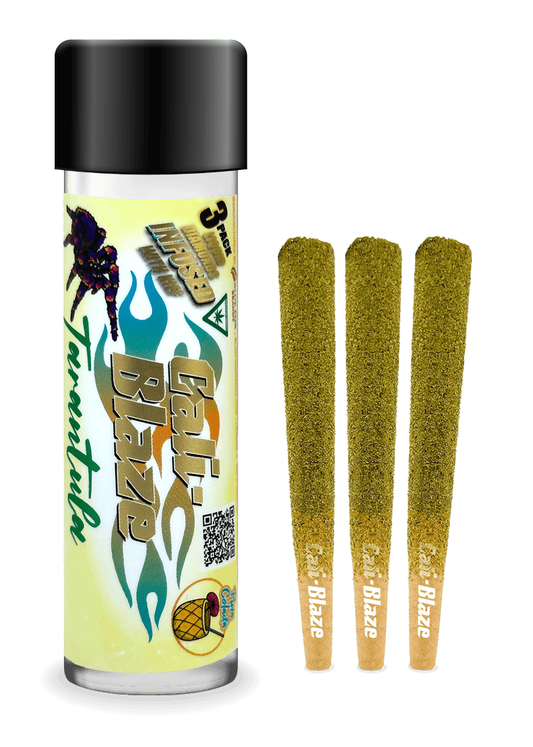 PINA COLADA (3-PACK)