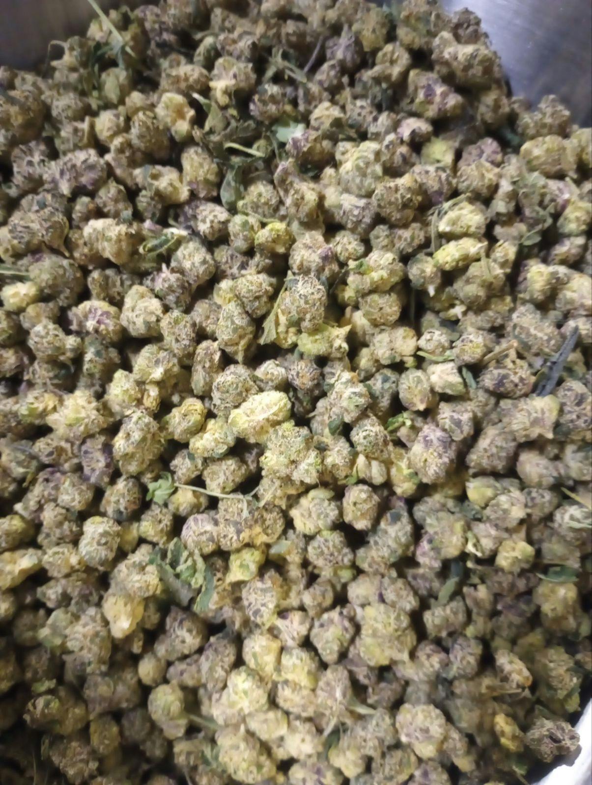 Runtz (Bronze Tier) at Neighborhood Provisions(Cannabis Co of Alpena)