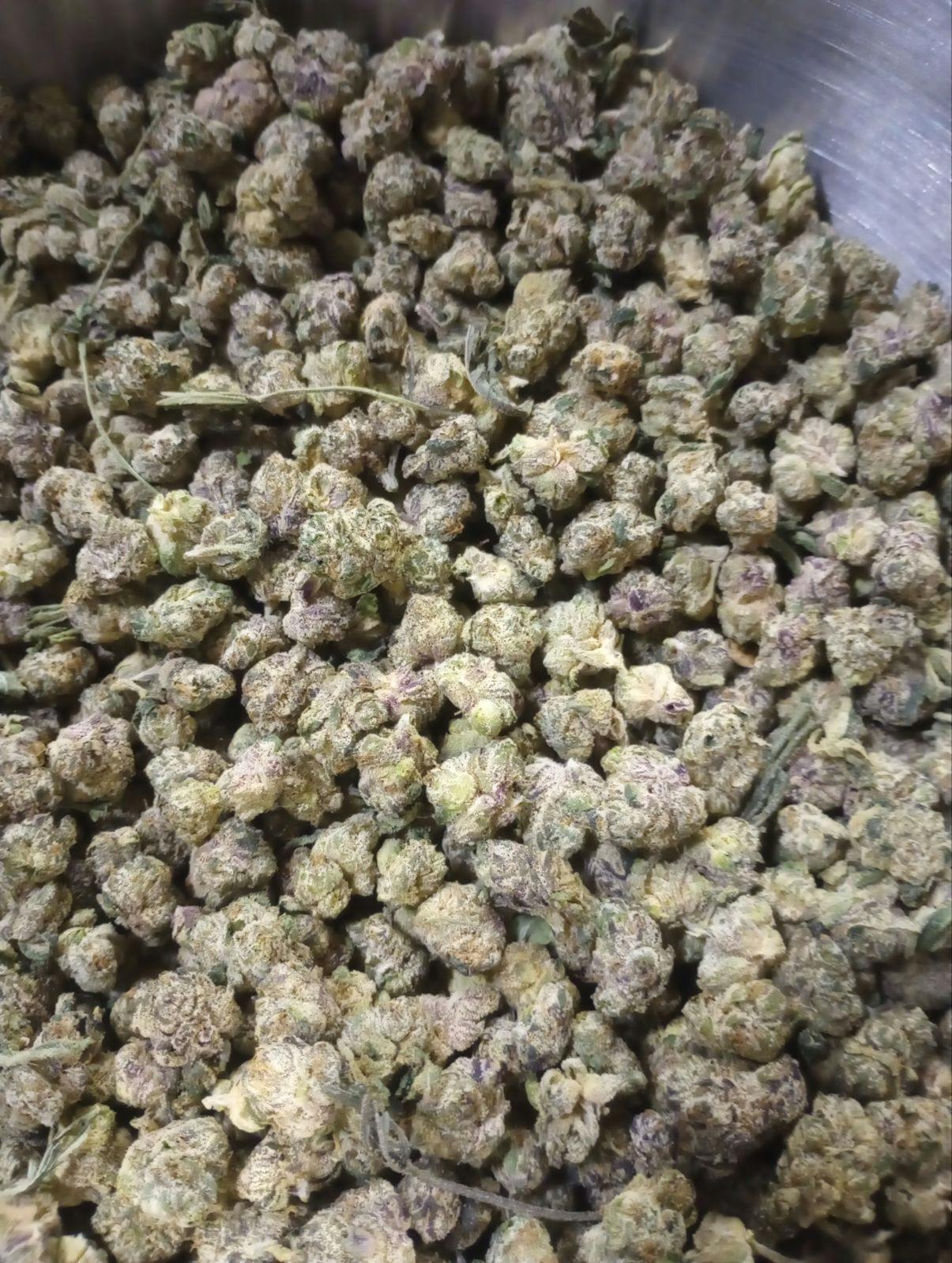 Chronic Runtz (Bronze Tier) at Neighborhood Provisions(Cannabis Co of Alpena)