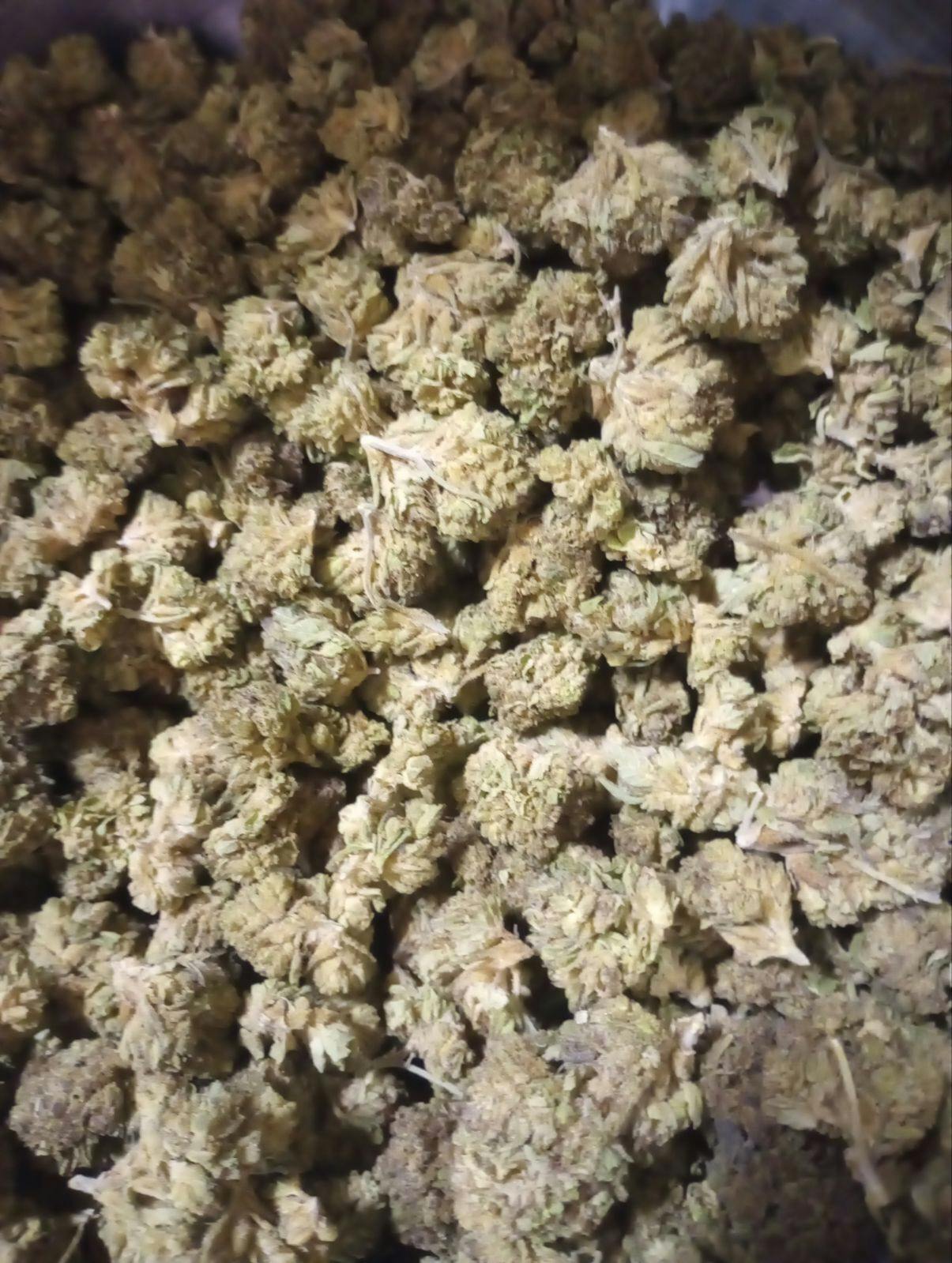 KUSH CAKE (SUN GROWN) at Neighborhood Provisions(Cannabis Co of Alpena)