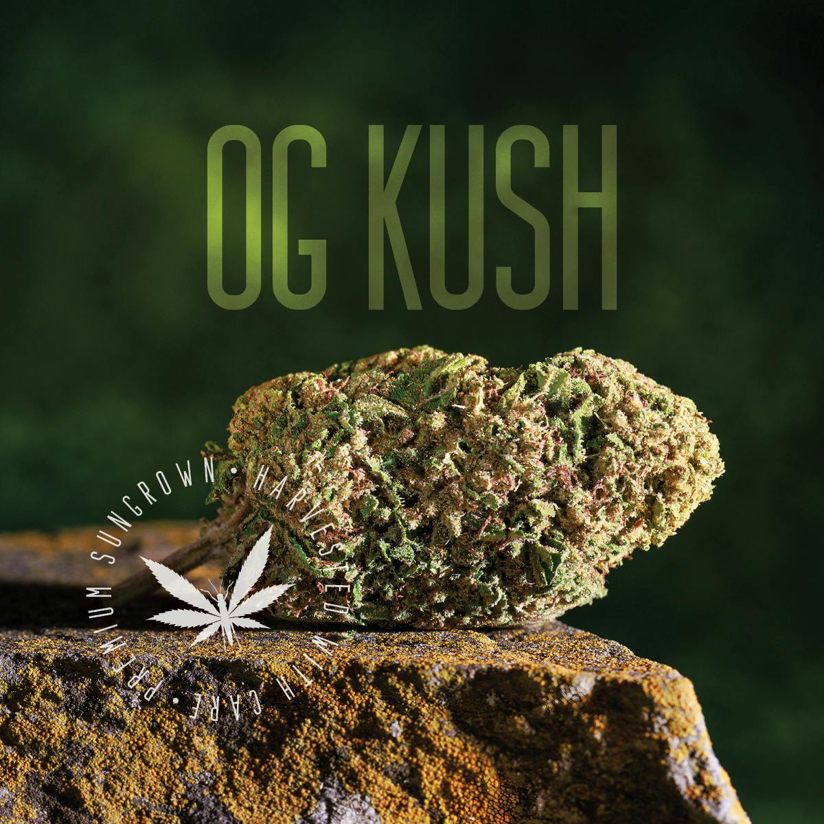Og Kush (Sun-Grown) at Neighborhood Provisions(Cannabis Co of Alpena)