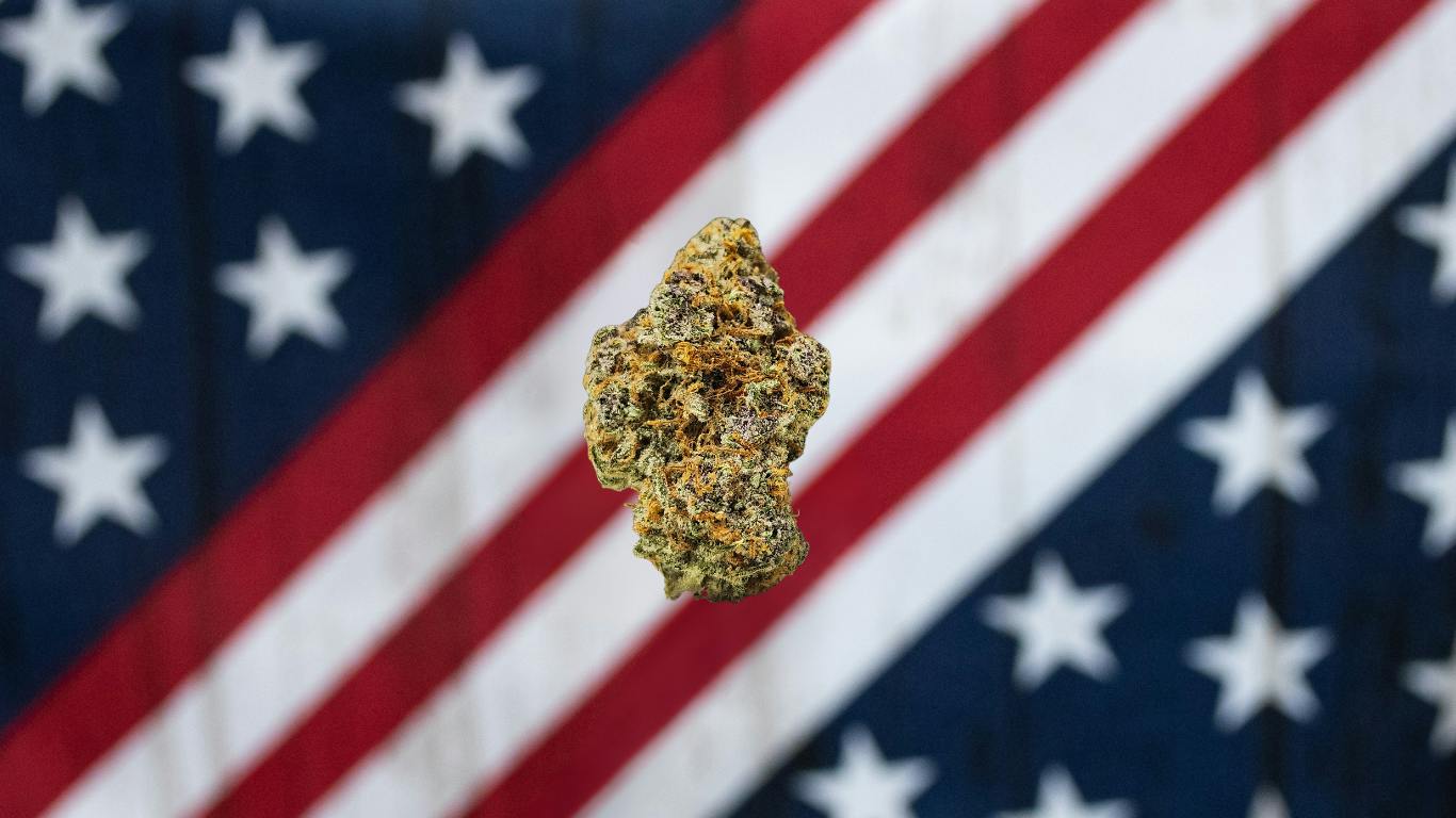 Bubba J (Gold Tier)