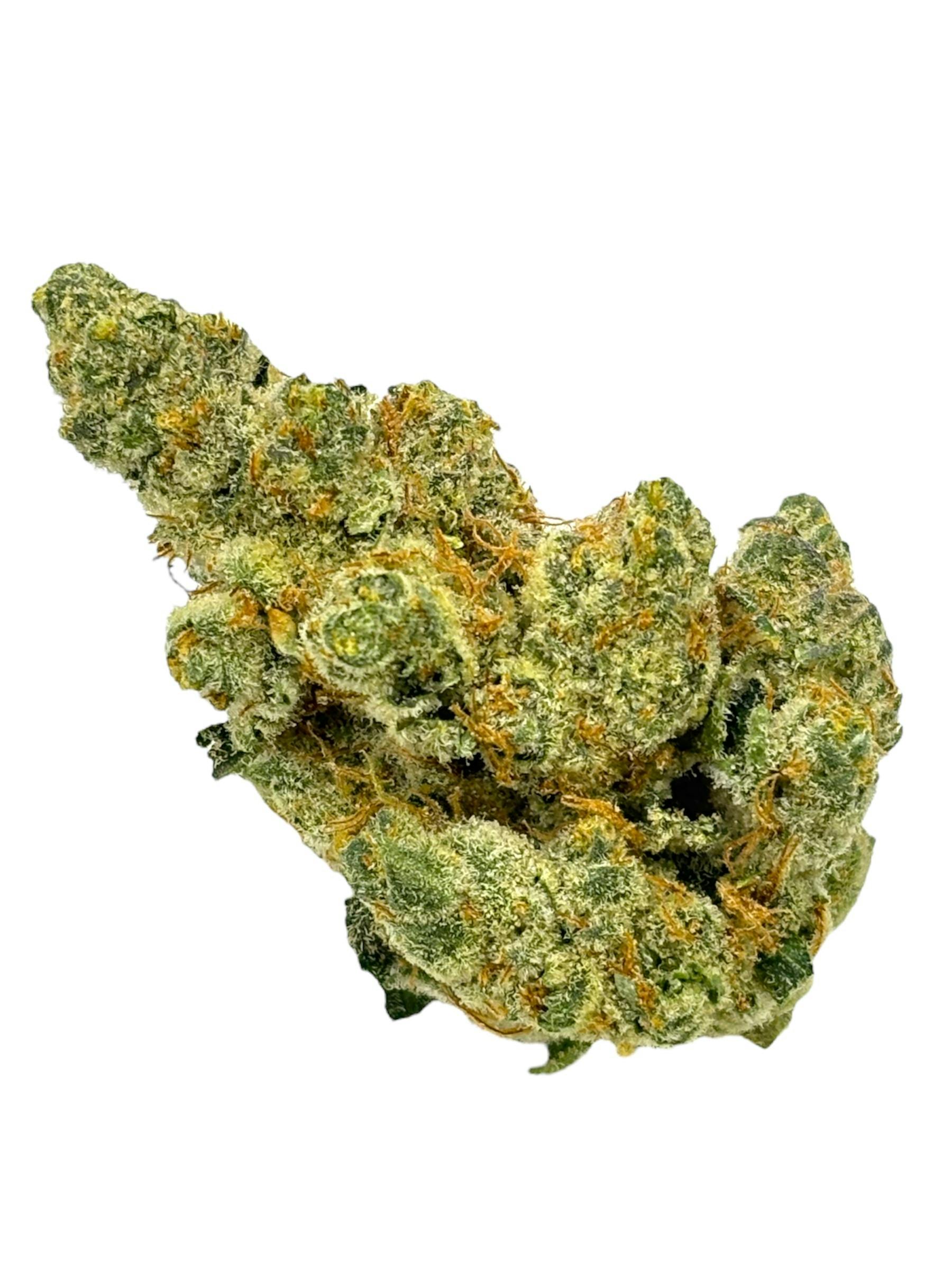 Six Labs - Grease Bucket