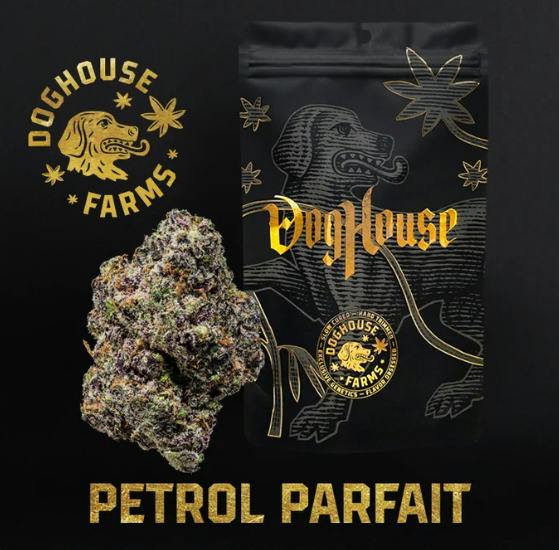 Doghouse - Petrol Parfait
