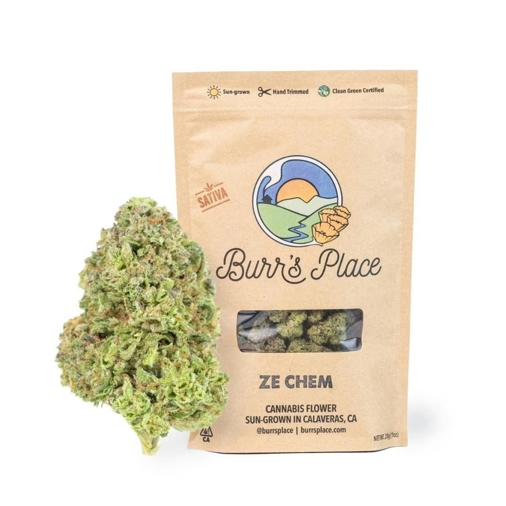 Burr's Place: Ze Chem