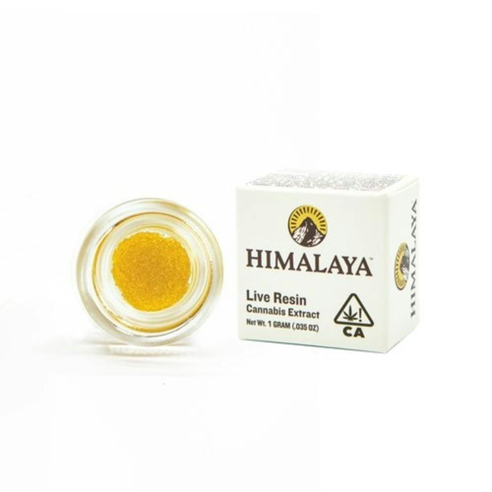 Himalaya: Super Lemon Haze Lr