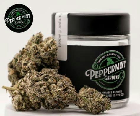 Peppermint Super Bolo Runtz