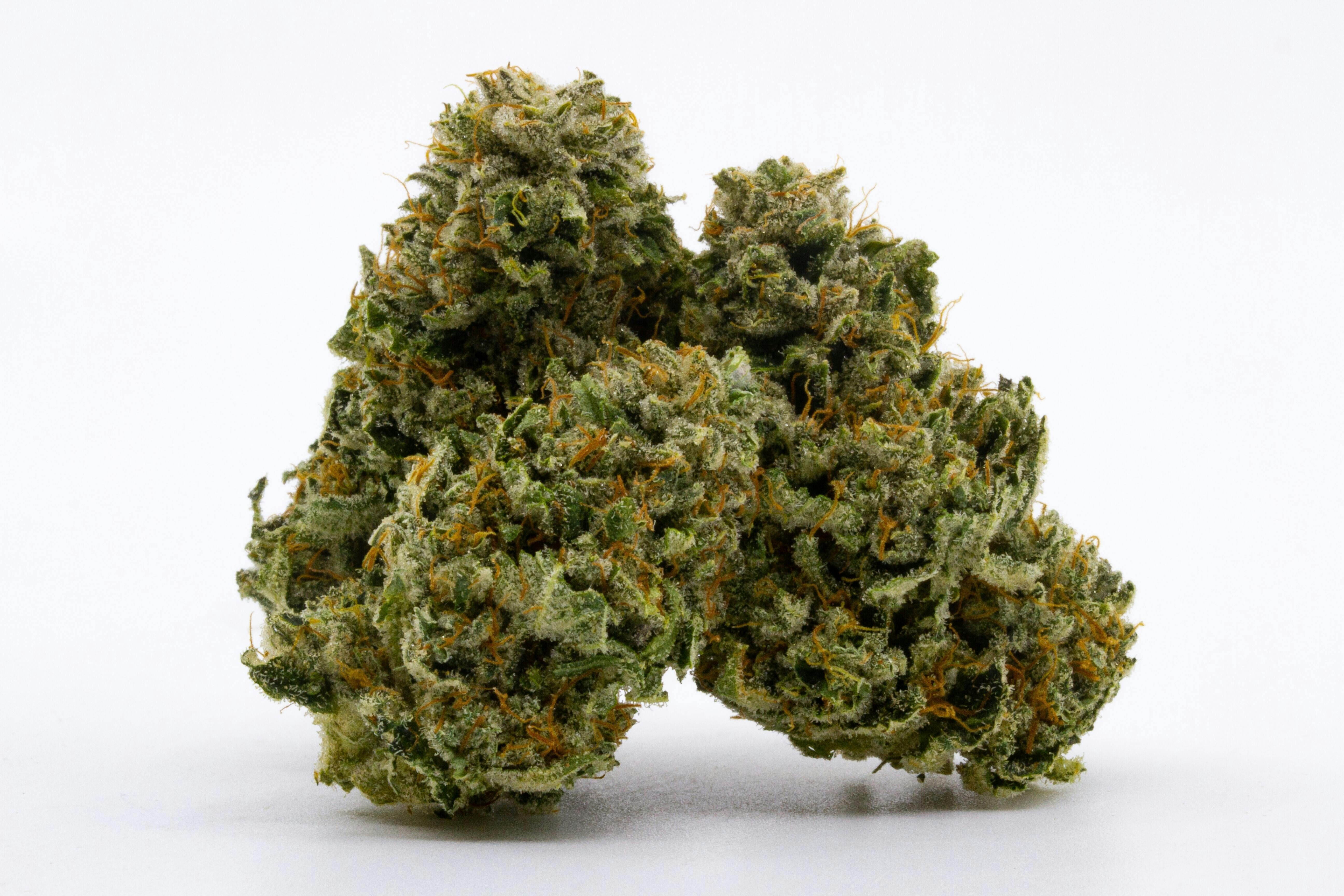 Greencraft - Sparkle Face - 26.45%