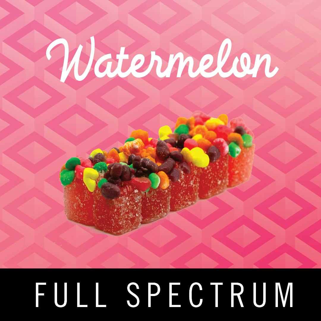 Levitate Orbit Bites 10 Pack - Watermelon