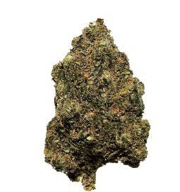 WELL MADE - Chemfire Kush - Indica - 28g