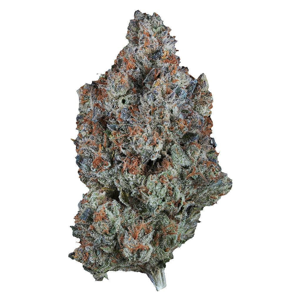 1964 - Sour Tangie - Sativa - 7g