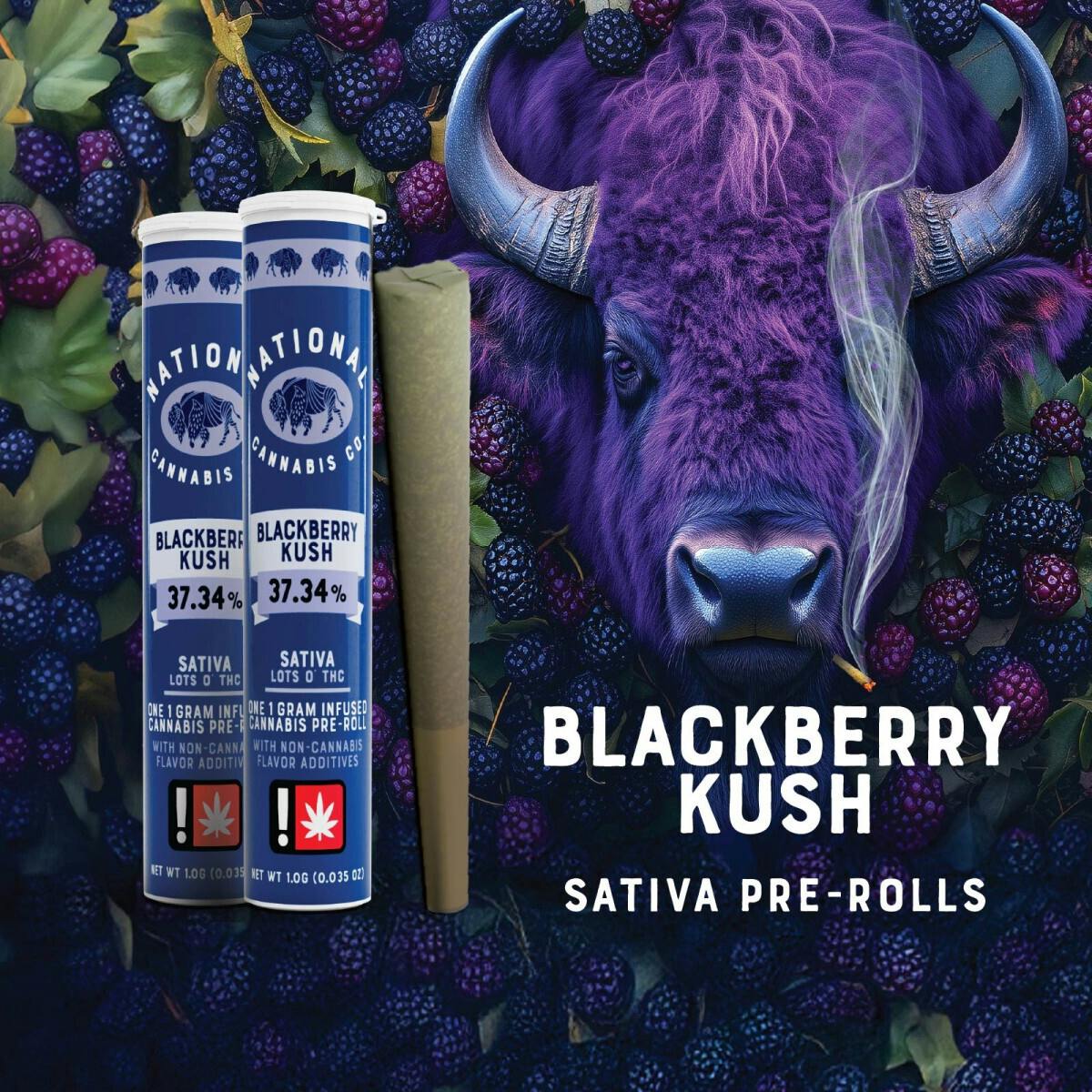National - 1:1 Blackberry Kush - Infused Preroll
