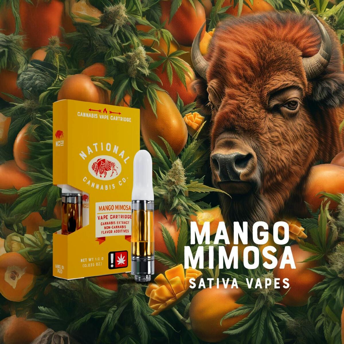National - Mango: Mimosa