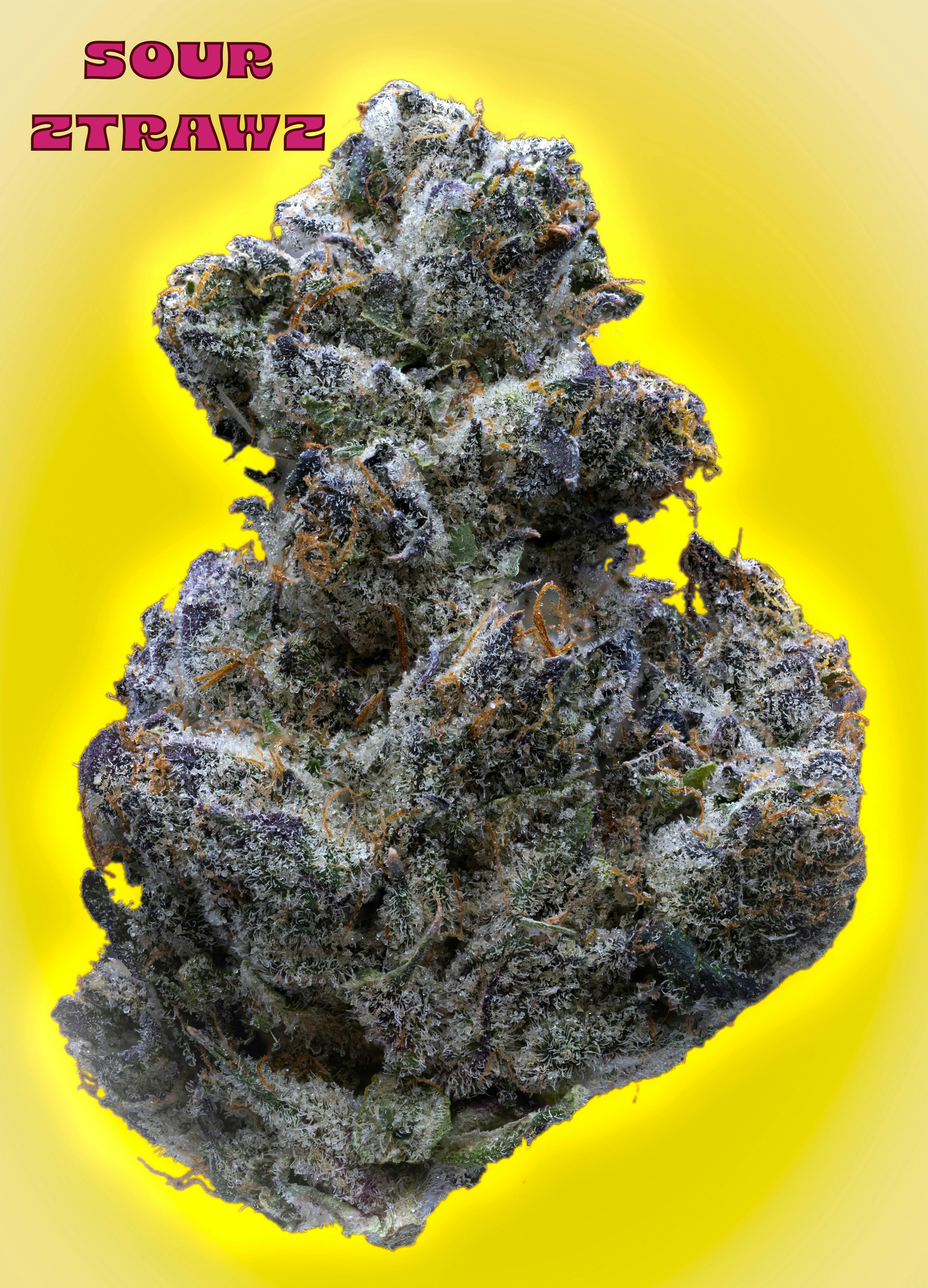 Bonsai: Factory - Cannabis